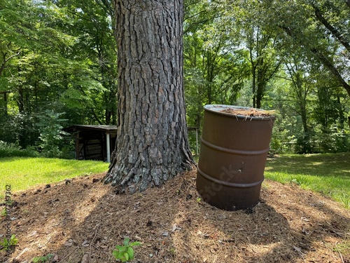 Rustic Barrel by the Tree