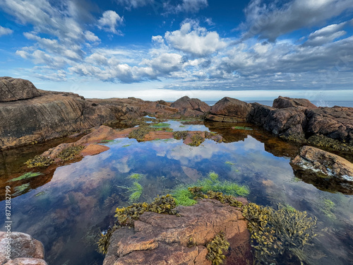 Tide Pools