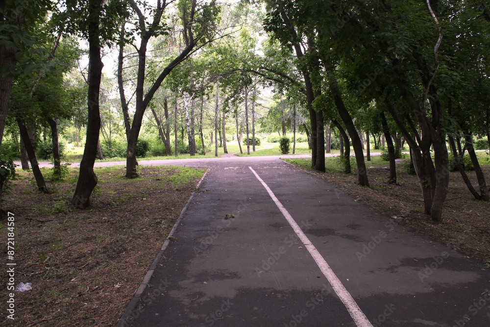 alley in the park alley in the park