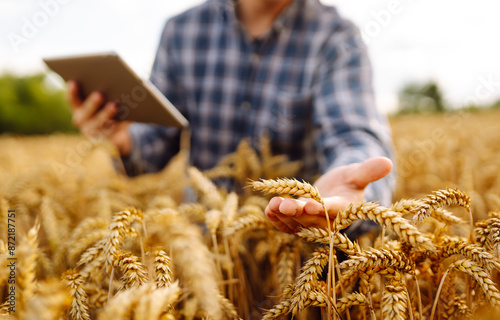 Young Farmer with tablet in the field. Agriculture, gardening or ecology concept. Harvesting. Agro business. photo