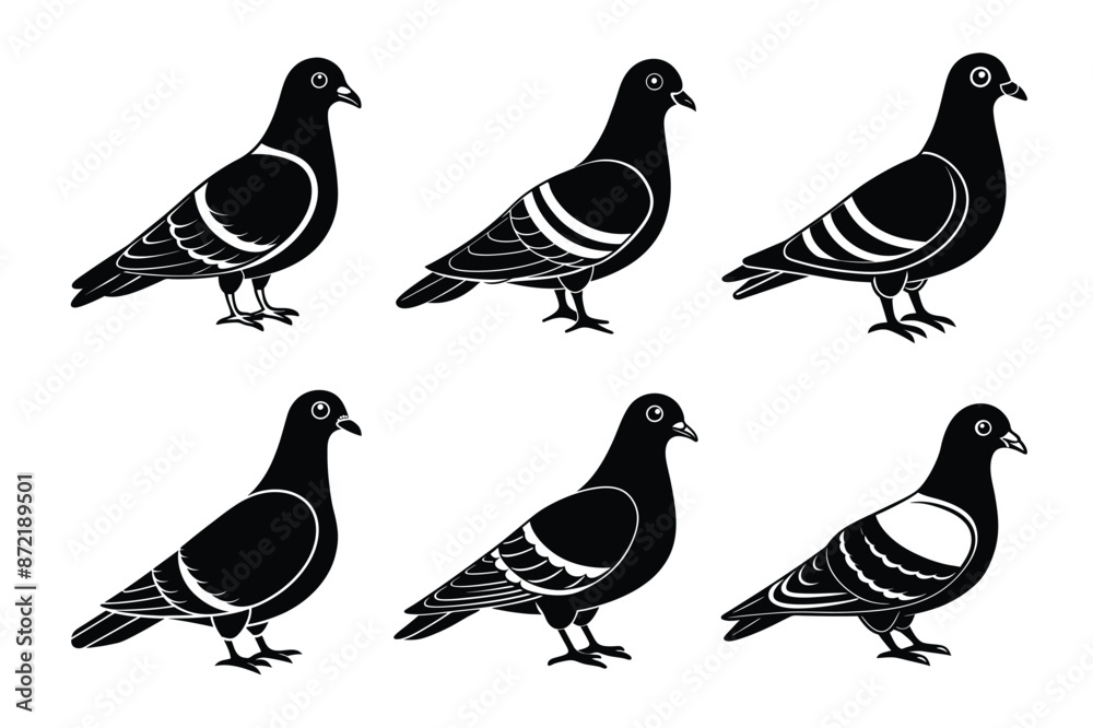 Fototapeta premium pigeon silhouette vector art illustration bundle set