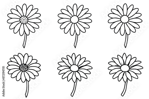 Daisy flower line art Detailed daisy outlines with artistic flair