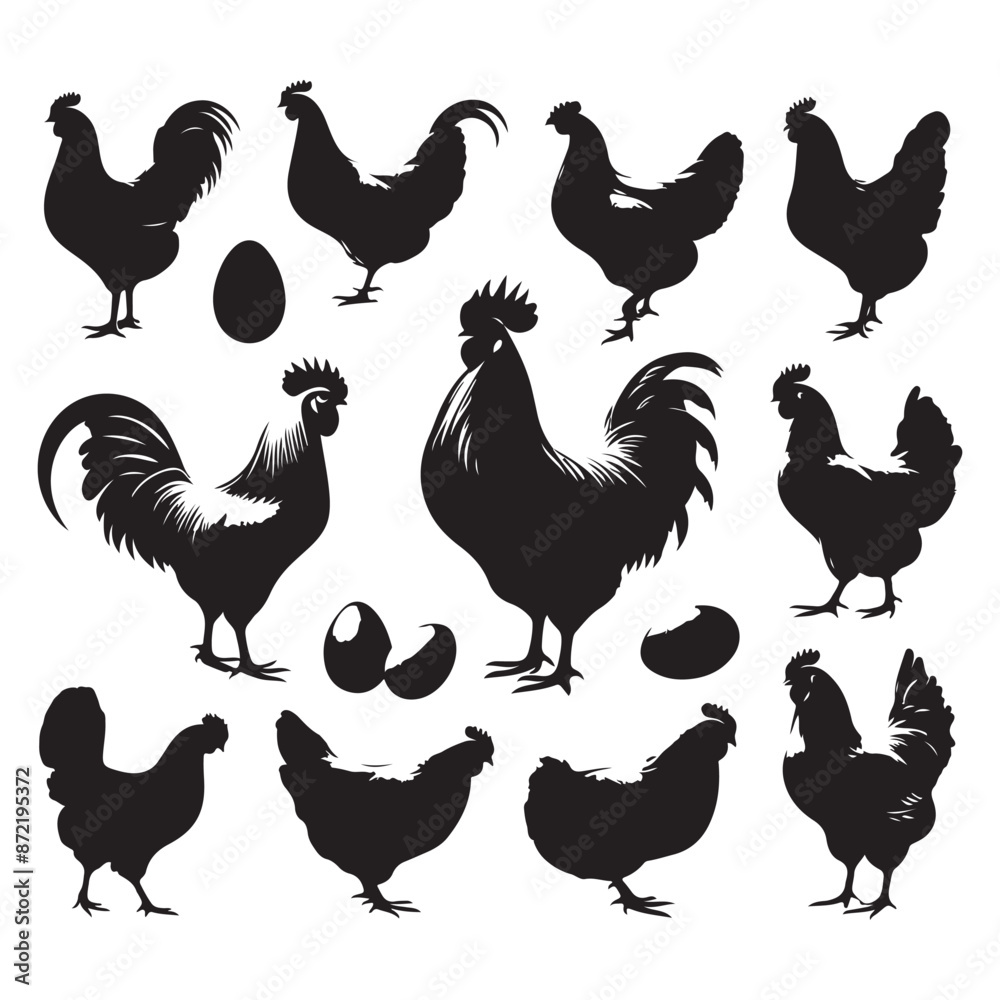 Fototapeta premium Set of Chicken silhouettes isolated on a white background, Vector illustration.
