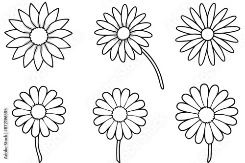 Daisy flower line art Fine-lined artwork depicts daisy beauty