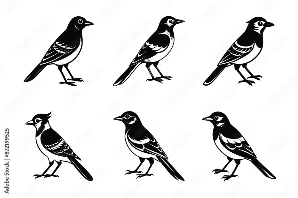 Jay bird black silhouette vector art illustration bundle set. Jay bird black silhouette vector art illustration bundle set.