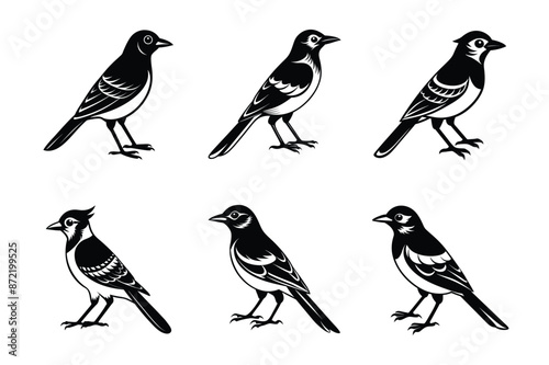 Jay bird black silhouette vector art illustration bundle set. photo