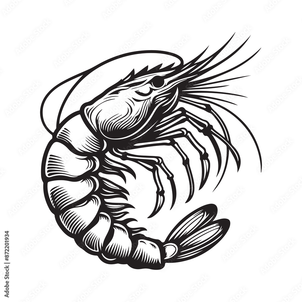 New shrimp fish silhouette vector and logo style with white background and coloring book New shrimp fish silhouette vector and logo style with white background and coloring book