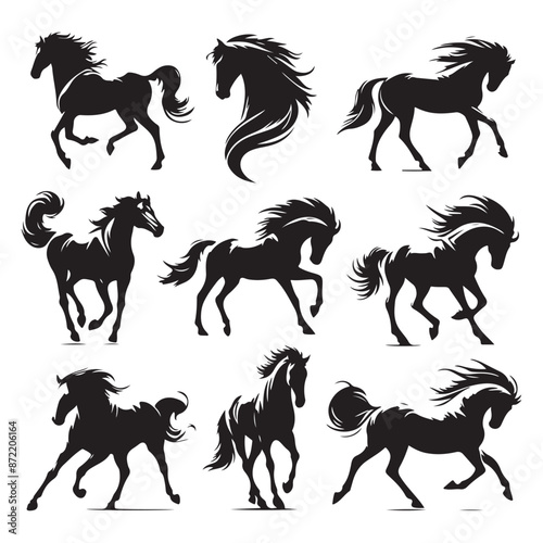 Set of horse silhouettes isolated on a white background, Vector illustration.