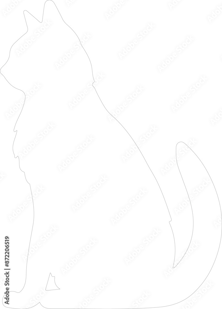 Fototapeta premium Cymric Cat outline