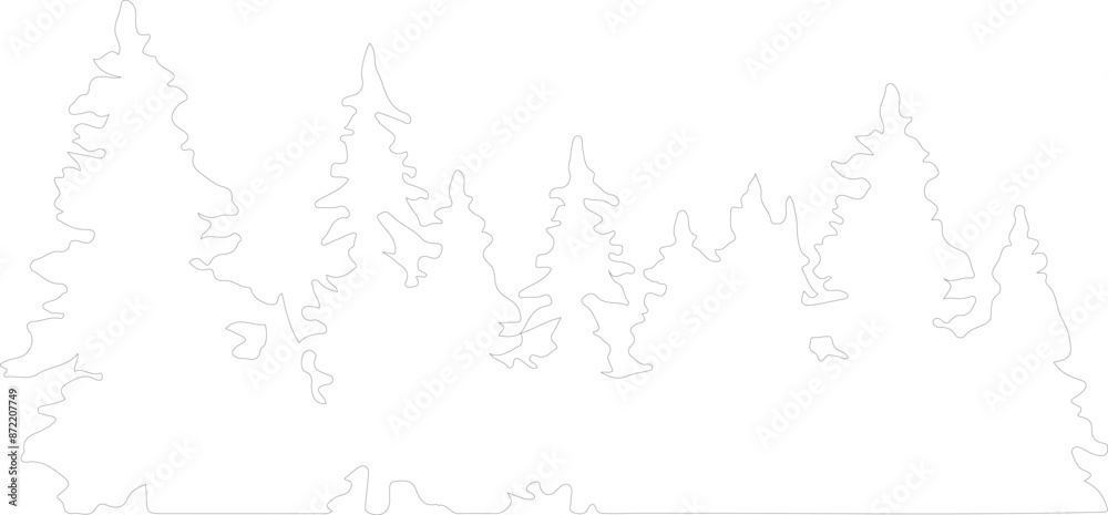 Obraz premium Evergreen outline