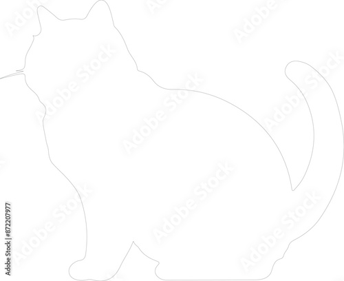Exotic Shorthair Cat outline