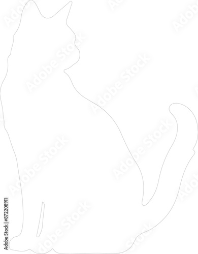 Havana Brown Cat outline