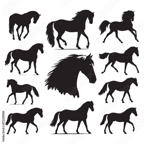 Set of horse silhouettes isolated on a white background, Vector illustration.