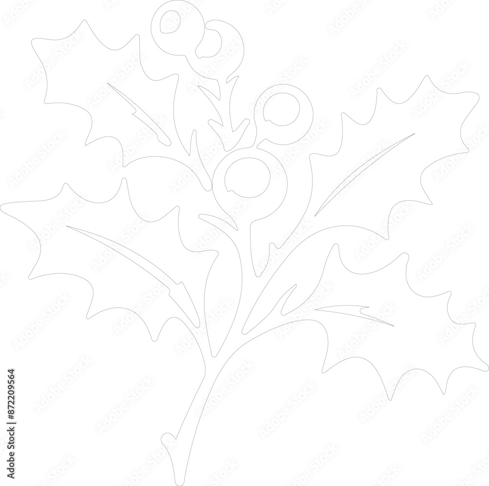 Fototapeta premium Holly outline