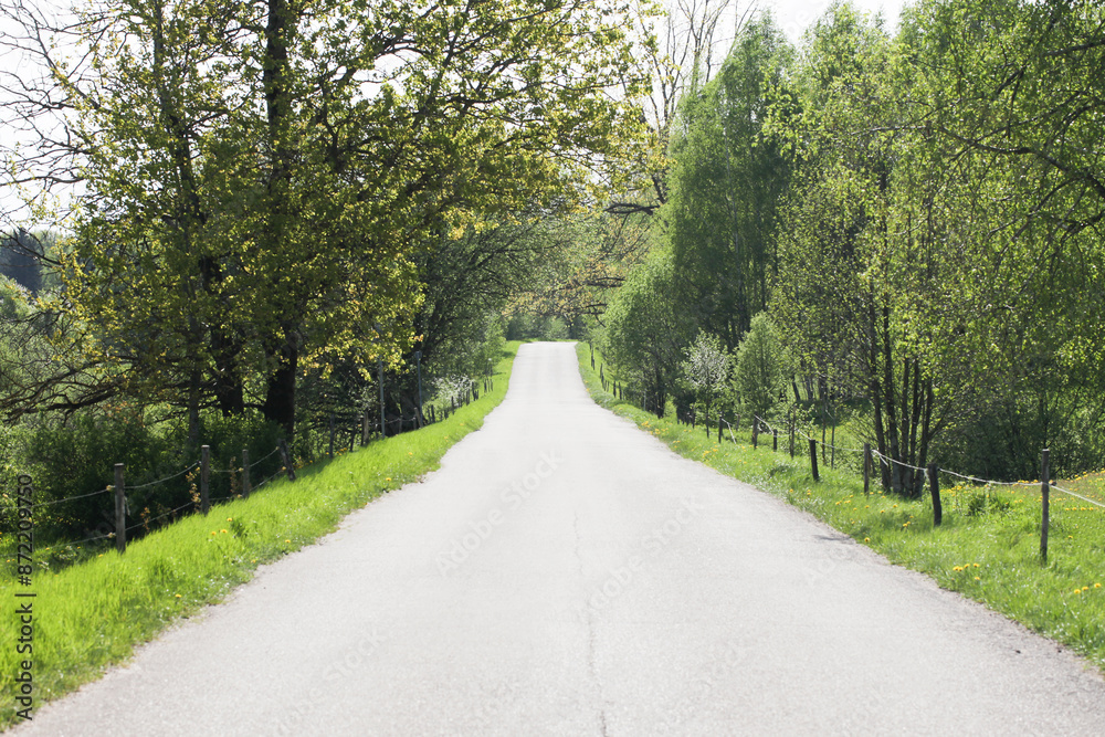 Asphalt road background. Summer countryside landscape. Weekend roadtrip travel drive. Good weather scenery. Way out of the city.