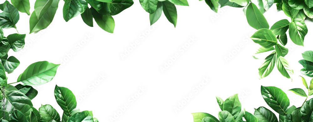 Green Leaf Border Isolated on a Transparent Background Green Leaf Border Isolated on a Transparent Background