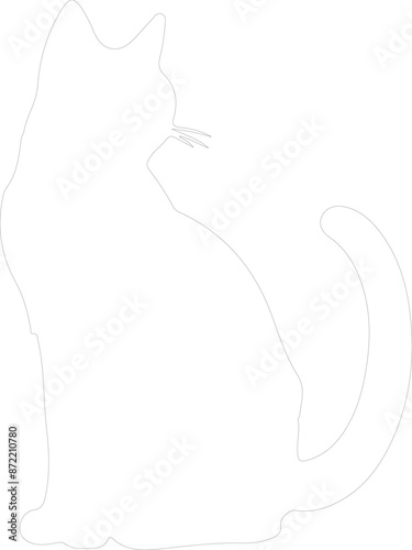 Khao Manee Cat outline