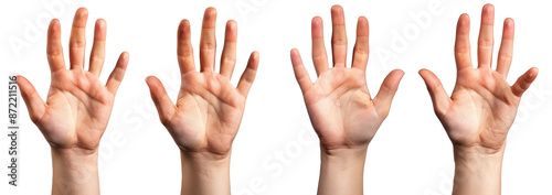 Hands, palms gesturing up, saying hi, greeting, hello, bye isolated on white
