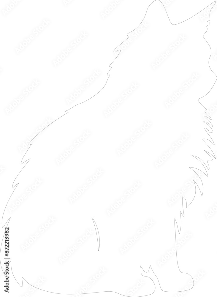 Obraz premium Norwegian Forest Cat outline