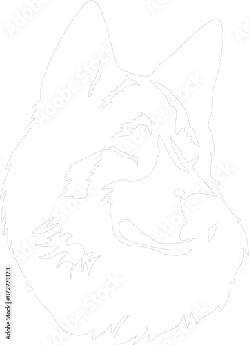 Akita outline