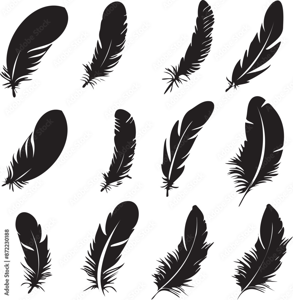 feathers silhouette set vector on white background feathers silhouette set vector on white background