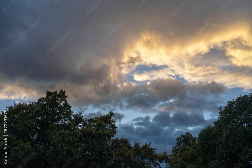 A dramatic sky with dark clouds and a hint of sunlight breaking through, above a silhouette of trees A dramatic sky with dark clouds and a hint of sunlight breaking through, above a silhouette of trees