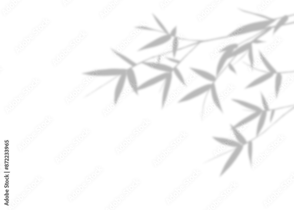 Silhouette blurred bamboo branches with leaves isolated background, featuring illustration design for holiday decoration. Hand draw. Summer time. Silhouette blurred bamboo branches with leaves isolated background, featuring illustration design for holiday decoration. Hand draw. Summer time.