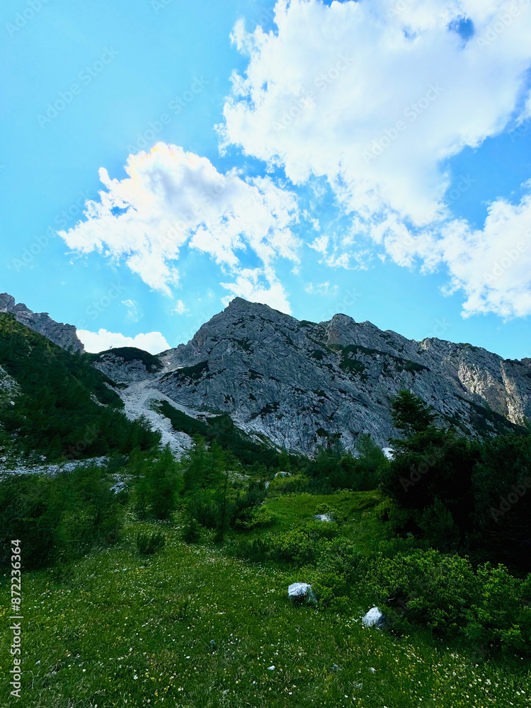 Fototapeta premium Alpen, Berge, Berggipfel - Schweiz, Österreich, Deutschland