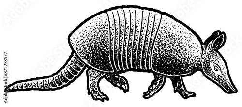 Armadillo cingulata animal sketch engraving PNG illustration. T-shirt apparel print design. Scratch board imitation. Black and white hand drawn image. photo