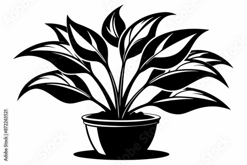 Illustration of a plant in a pot plant photo