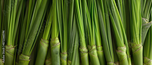 background banner filled with a heap of lemongrass