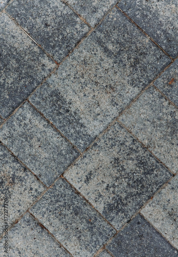 grass, path, road, stone, park, walkway, sidewalk, brick, pavement, pathway, landscape, nature, concrete, texture, paving, summer, street, tree, tobolsk photo