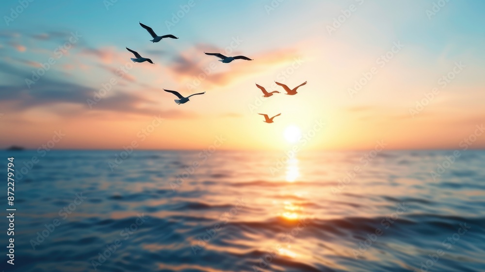 Group of Seven Seagulls Soaring Over Water at Sunset Group of Seven Seagulls Soaring Over Water at Sunset