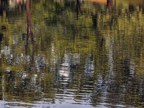Reflections in the orning pond © John Anderson