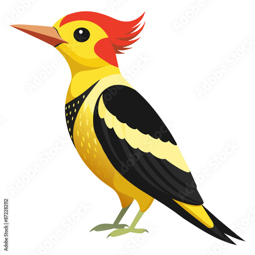 Yellow-bellied Sapsucker Vector Illustration Detailed Bird Artwork photo