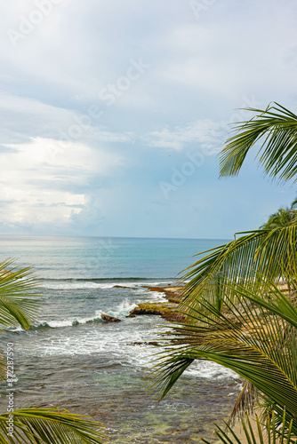 beach in the Refugio Nacional de Vida Silvestre Gandoca Manzanillo or in english Gandoca Manzanillo National Wildlife Refuge in Costa Rica photo