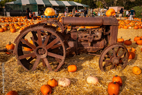 Fall Pumpkin Patch with Rusted Antique Tractor photo