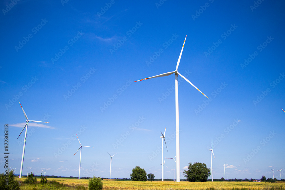 wind turbine in a field against a blue sky