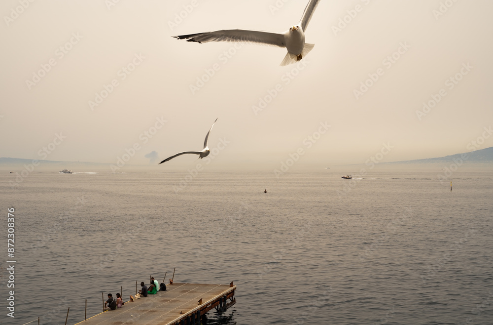Sorrento, Italy - June 29, 2024: View of the sea and the beaches with tourists taking selfie with camera and sea gull birds flying around