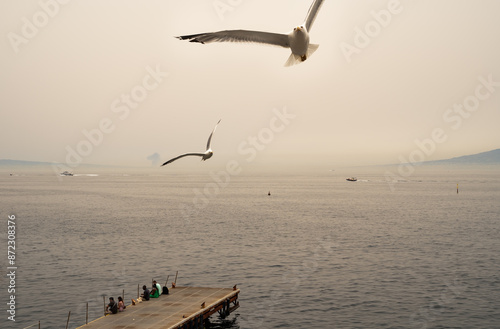 Obraz na płótnie Sorrento, Italy - June 29, 2024: View of the sea and the beaches with tourists taking selfie with camera and sea gull birds flying around w salonie