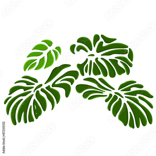 A flat design illustration of a of fresh green monstera leaves on a background. The leaves are shown