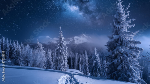 winter landscape with snow