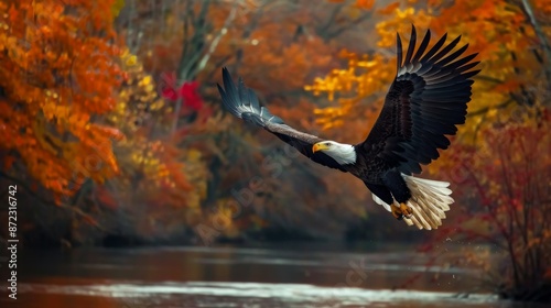 A striking image of an eagle in flight over a peaceful river, surrounded by vibrant autumn trees, capturing the majestic beauty and tranquility of the season.