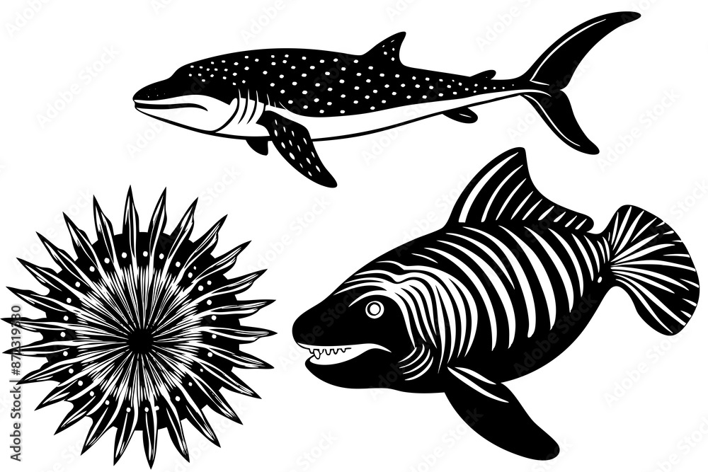 Fototapeta premium marine fish silhouette vector illustration 