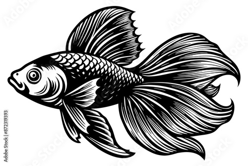 marine fish  silhouette vector illustration 