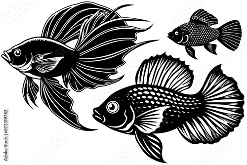 marine fish  silhouette vector illustration 