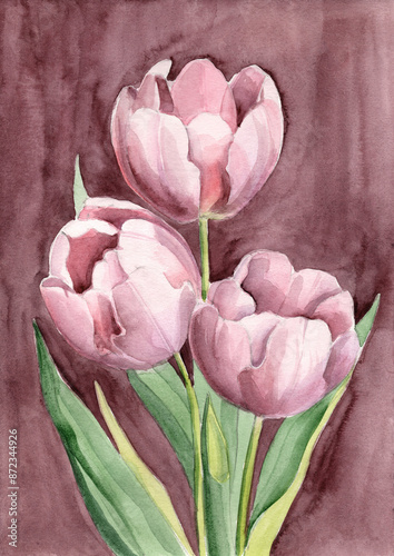 Watercolor postacard with hand-drawn pink tulips. Botanical illustration.  photo