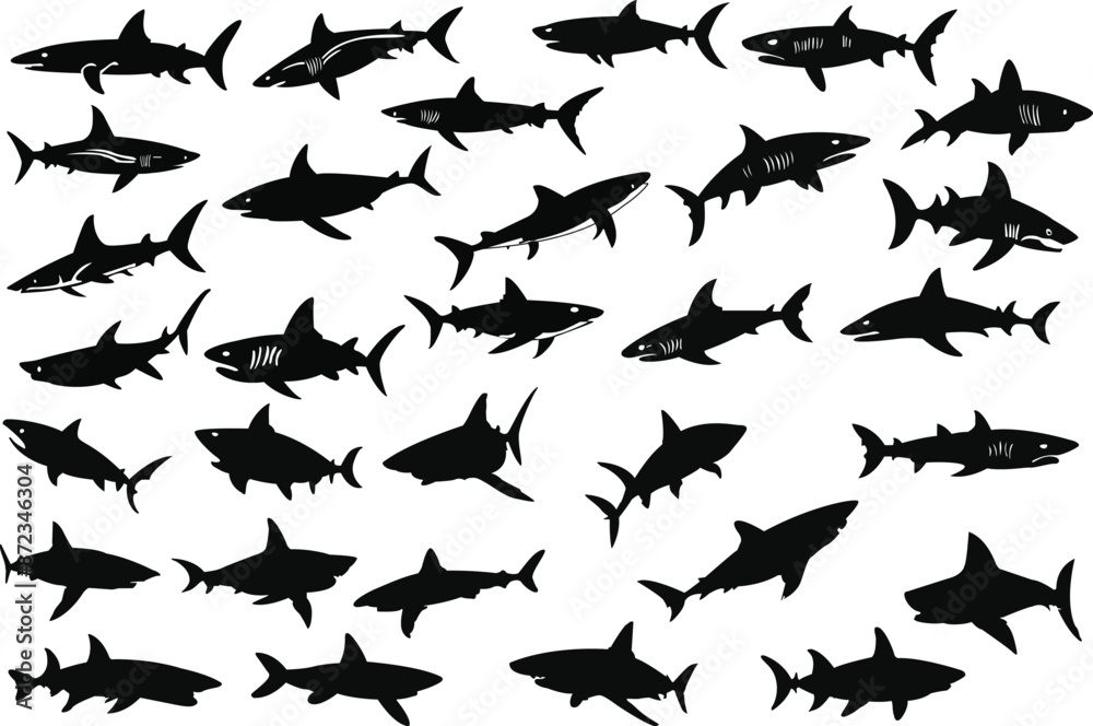 Shark silhouettes set vector illustrations Shark silhouettes set vector illustrations
