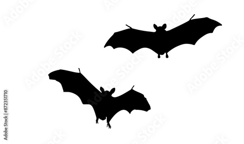 Bats silhouetted, Halloween spooky, transparent illustration.