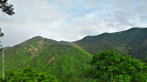 Wallpaper Mural May rain in Borjomi. Rainbow. Mountains covered with green coniferous forest Torontodigital.ca